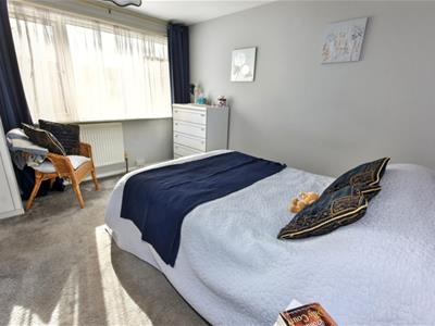 Picture 15